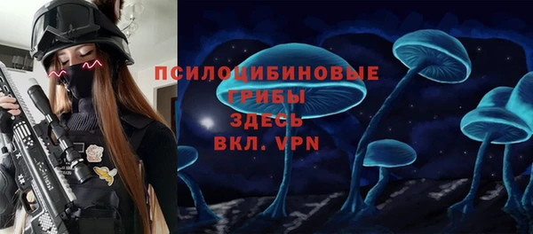 мяу мяу мука Беломорск