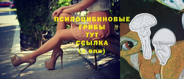 mdpv Белокуриха