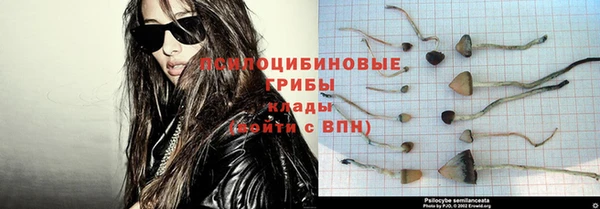 mdpv Белокуриха