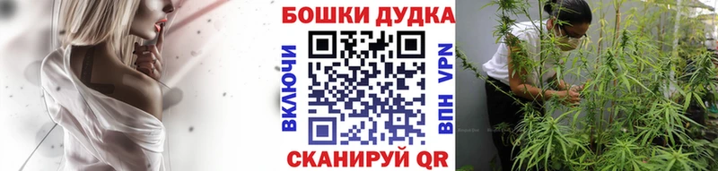 Купить где Первомайск Канабис конопля